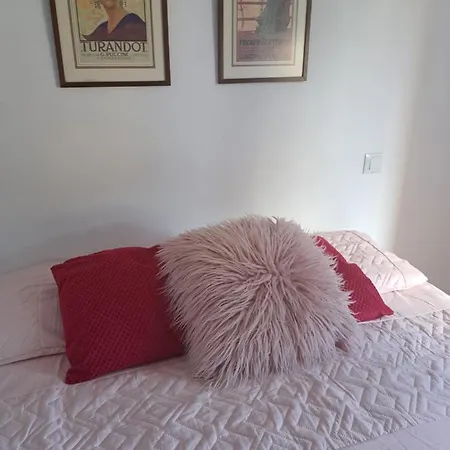 Bed & Breakfast Tranquila *